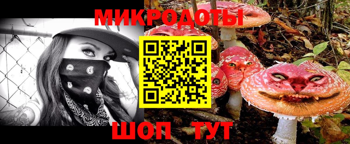 Псилоцибиновые грибы мицелий Назарово